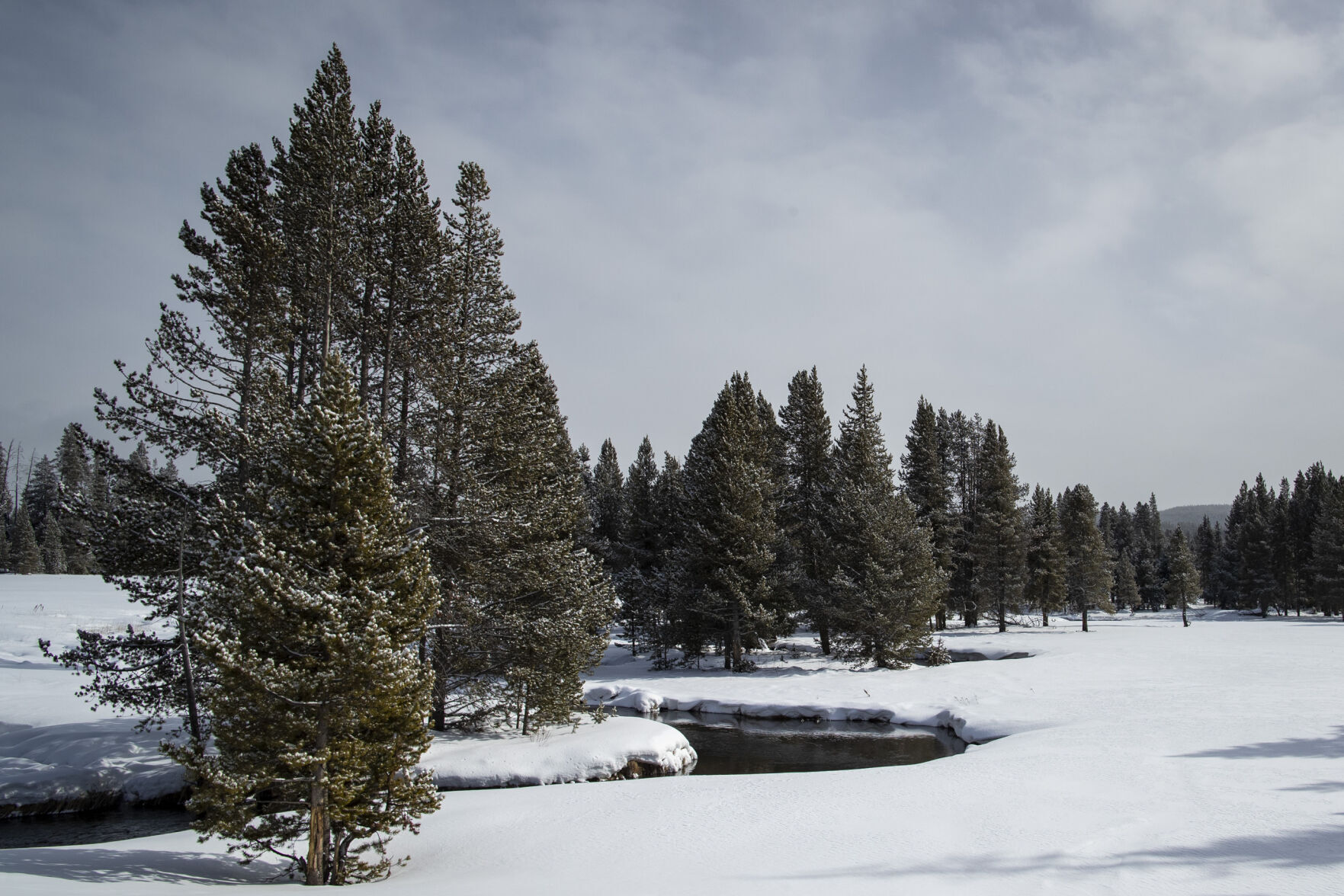 Yellowstone in Winter